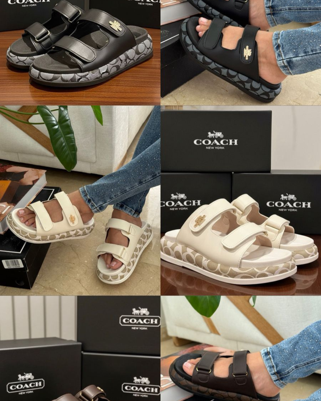 SANDALIA COACH